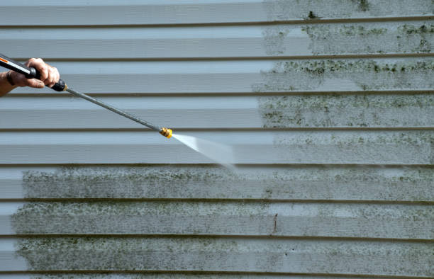 Best Residential Mold Removal  in Union Hall, VA