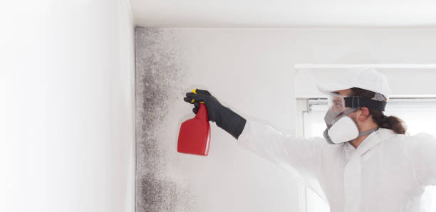 Best Emergency Mold Removal  in Union Hall, VA