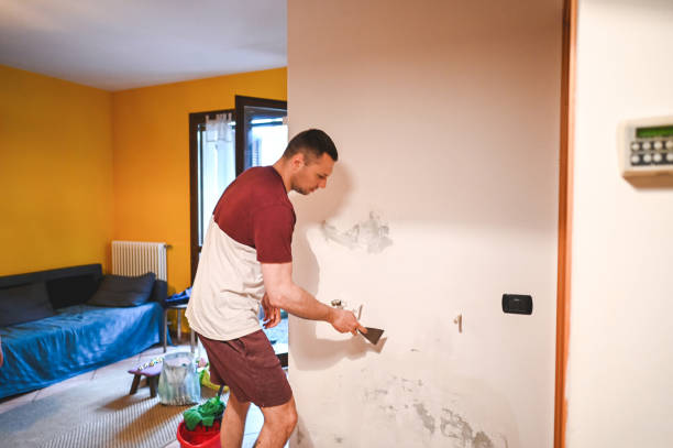Best Commercial Mold Removal  in Union Hall, VA